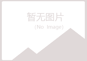 福山区狼狈会计有限公司